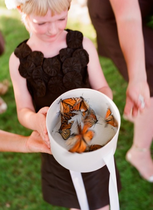 butterfly-release-wedding