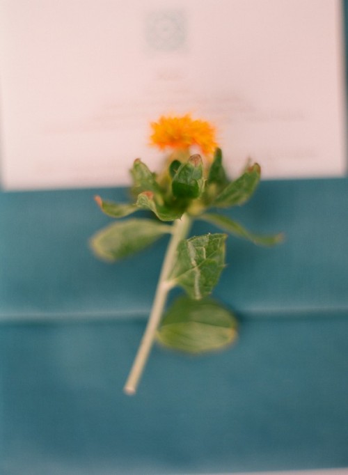 malibu-estate-wedding10