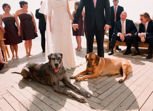 malibu-estate-wedding25