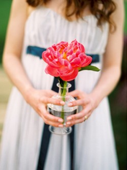pink-flower-in-clear-glass-vase pink-flower-in-clear-glass-vase