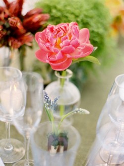 single-flower-in-glass-vase single-flower-in-glass-vase