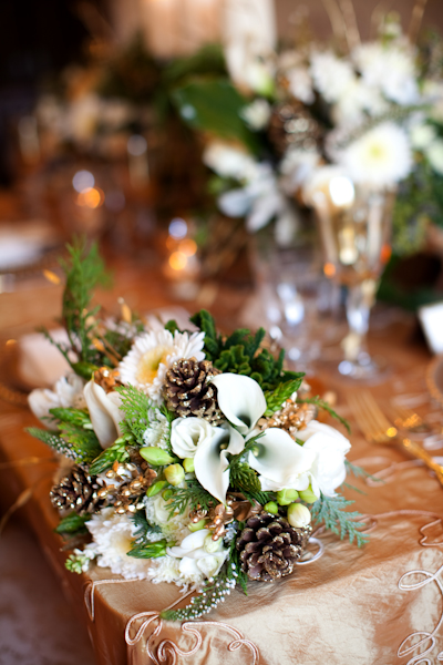 Winter Wedding Planning on Wedding Planner  Coordinator And Consultant In St Louis  Mo  Winter