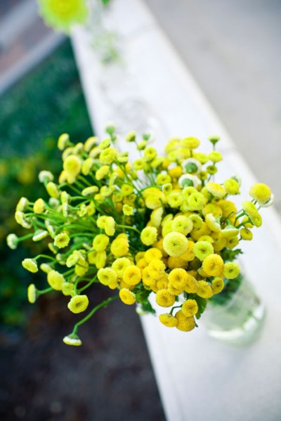 yellow-mums-in-vases yellow-mums-in-vases