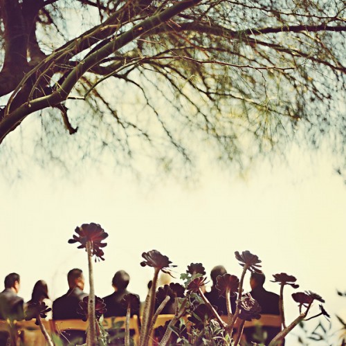 malibu-wedding-ceremony malibu-wedding-ceremony