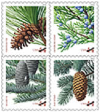 winter wedding stamp