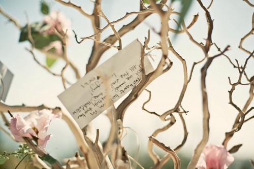 wishing-tree wishing-tree