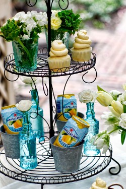 San Pelligrino Drinks on Wire Stand