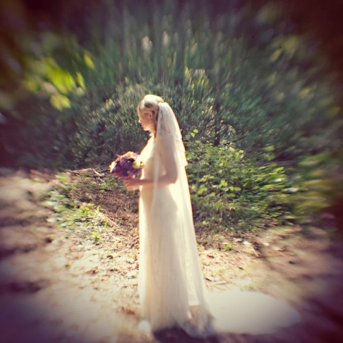 bainbridge-island-wedding-one-love-photo-7