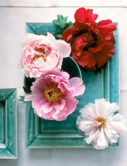 flowers-on-turquoise-plate flowers-on-turquoise-plate