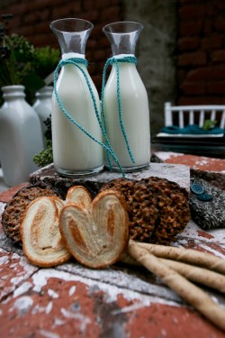 mini-milk-carafes mini-milk-carafes