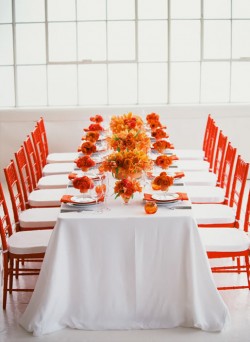 orange-and-white-wedding-table-orange-chivari-chairs orange-and-white-wedding-table-orange-chivari-chairs