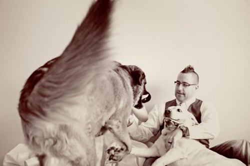pillow-fight-trash-the-dress-session-12