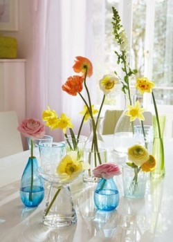 single-flowers-in-vases single-flowers-in-vases