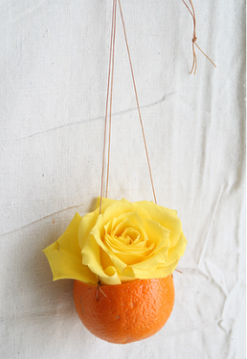 yellow-rose-in-orange