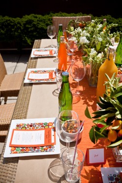 Citrus Picnic Table