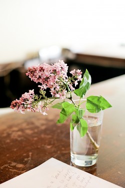 Flowers in Water Glass