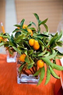 Kumquats