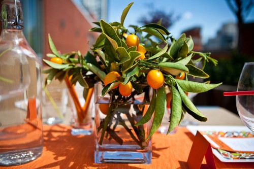 Kumquats Centerpiece
