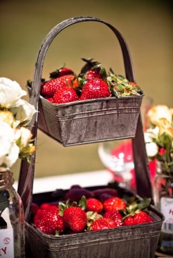 Strawberries in Galvanized Pail