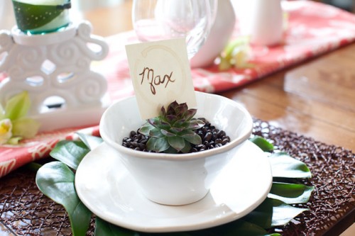 Succulent Place Setting