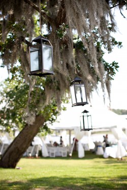 Hanging Candle Holder Spanish Moss Wedding Reception