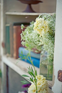 Hydrangea and Babys Breath Hydrangea and Babys Breath