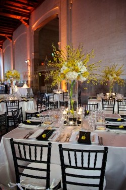 Yellow and Black Reception