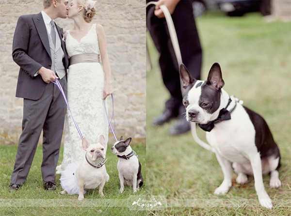 Bulldog-Bridal