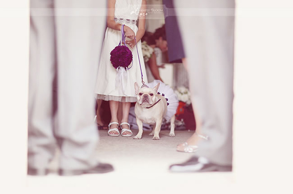 Bulldog-Flowergirl