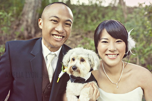 Groomspuppy-Wedding-Dog