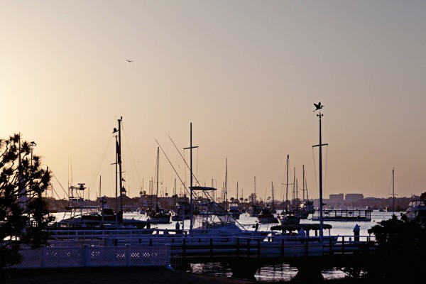 Newport-Beach-Wedding-Meg-Perotti-16