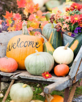 Pumpkin Welcome Display
