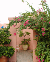 Arizona Inn Wedding Lindsay Bishop Events 1