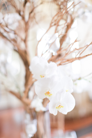 Branch Centerpiece with Orchids Branch Centerpiece with Orchids