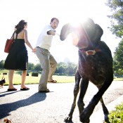 011altmix-engagement.jpg (496 KB)
