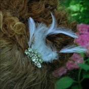 rhinestone-feather-comb-dscn4708