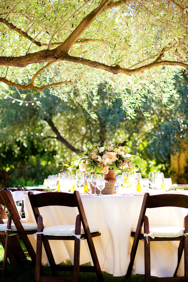 Backyard Vineyard Wedding Reception - Elizabeth Anne ...
