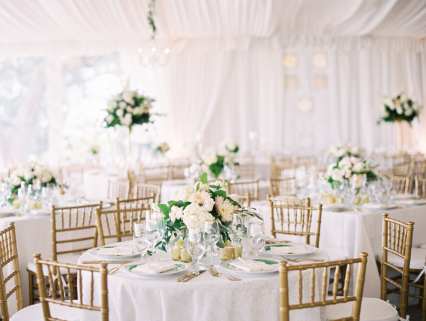 Romantic Elegant Charleston Plantation Wedding Elizabeth Anne