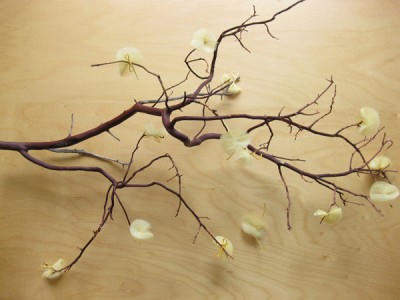 diy-tulle-flower-blossoms