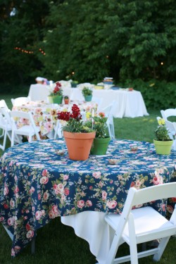Backyard-Wedding-Potted-Plant-Centerpieces
