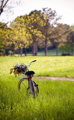 Flower-Covered-Vintage-Bicycle