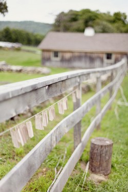 Escort-Cards-hanging-on-fence