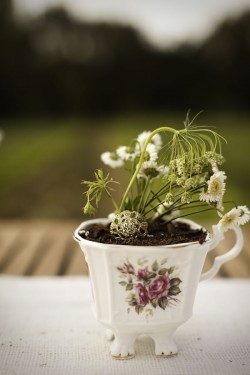 Potted-Plant-Teacup-Centerpiece