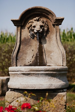 Lion-Fountain