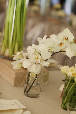 White-Orchid-Spray