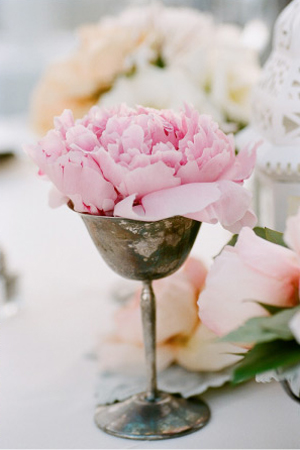 pink-peony-in-vintage-tarnished-silver-coupe