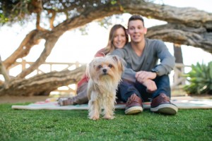 Dog In Engagement Session