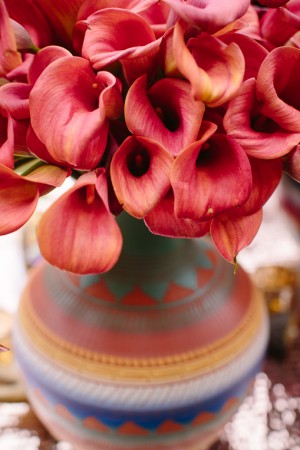 Orange Red Orchids in Santa Fe Clay Pot