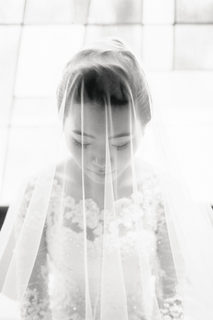Elegant Bridal Veil