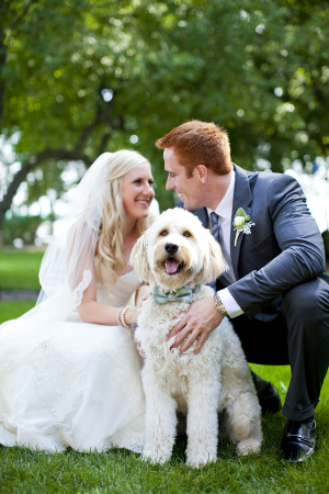 Dog in Bow Tie for Wedding Ceremony